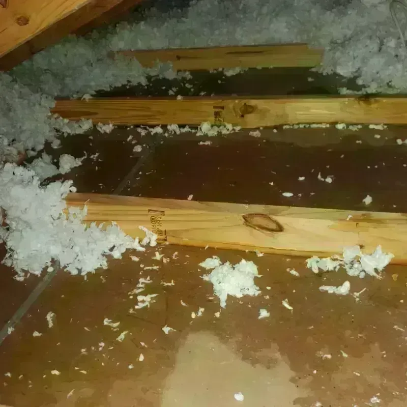 Attic Water Damage in Woodfin, NC