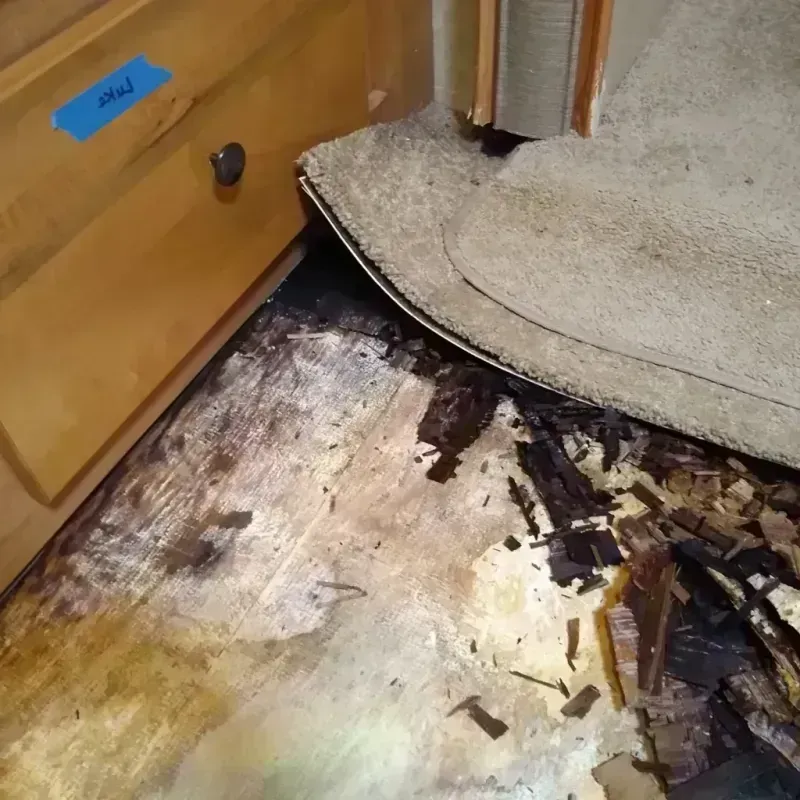 Wood Floor Water Damage in Woodfin, NC